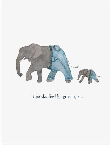 [EF-C-SP0453] Card-Elephant Genes