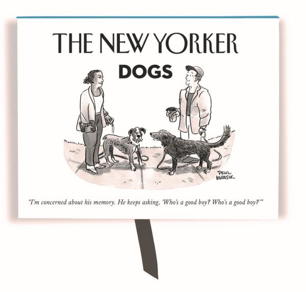 [NY-SN-CBA005] Notecard Boxed Set-Dogs