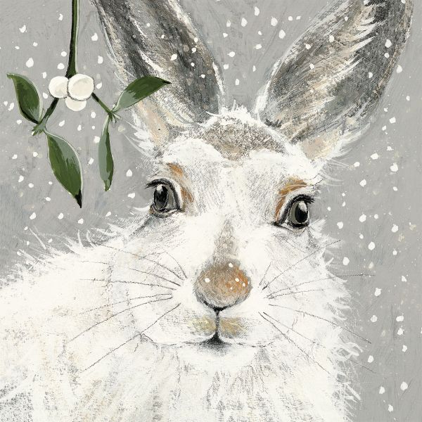 [AM-XCP-0001] Card Pack of 6-Winter Wishes