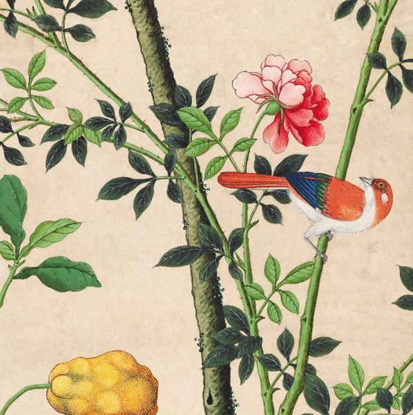 [MC-C-OR-VA024] Card-Oriental Birds & Flowers 2