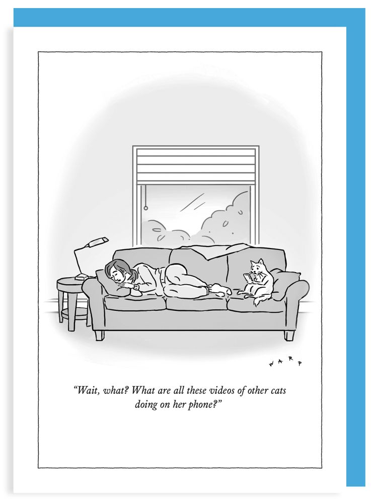 [NY-C-A394] Card-Videos Of Other Cats