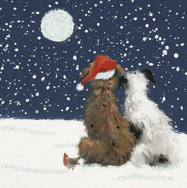 [AM-XCP-0075] Card Pack of 6-Festive Gathering