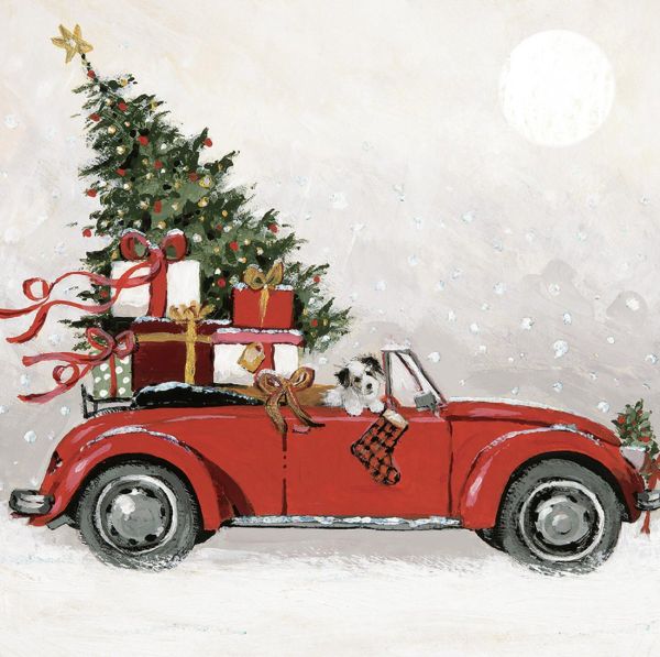 [AM-XCP-0083] Card Pack of 6-Magic Awaits