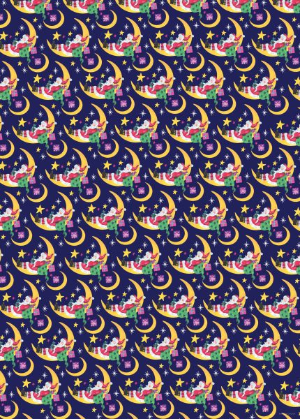 [HC-XW-007] Wrap-Santa On Moon