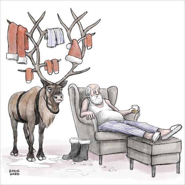 [QG-XCSQ-014] Card-Santa's Washing