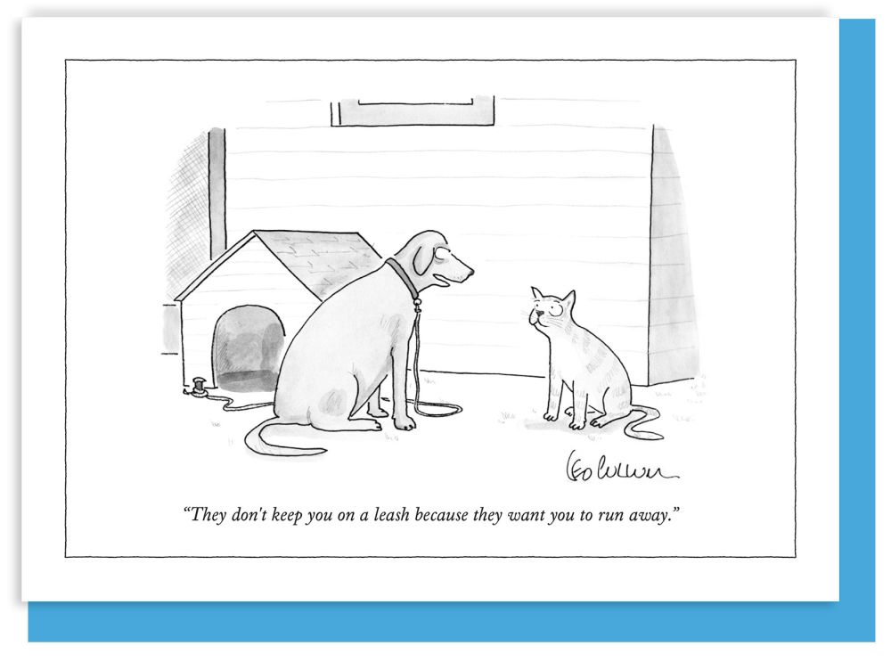 [NY-C-B003] Card-They Want You To Run Away