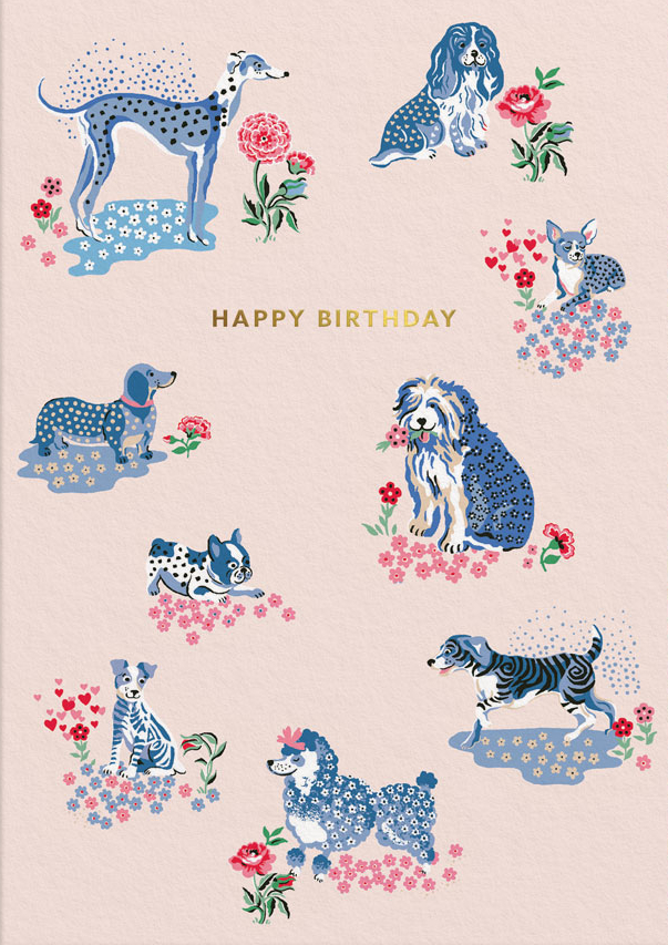 [CK-C-6442] Foil Card-Happy Birthday Puppy Fields