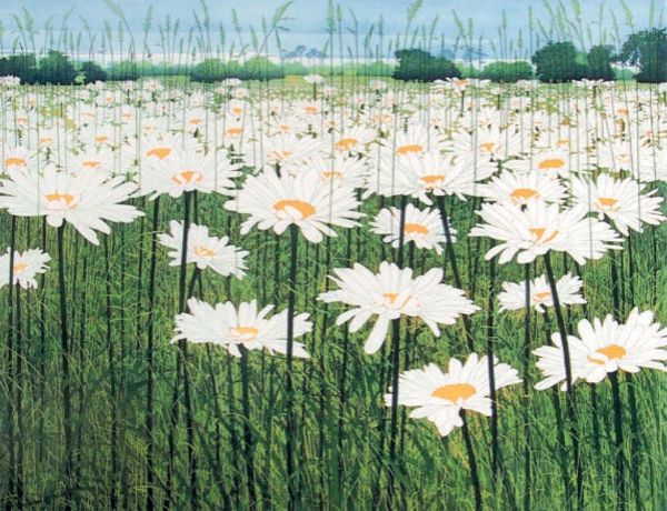[CD-C-WPB036-2] Card-Daisy