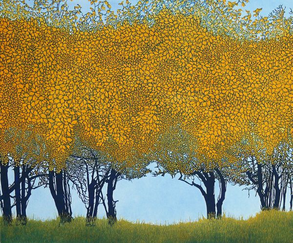 [CD-C-WPB045-1] Card-Dancing Trees