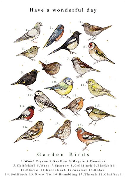 [AL-JC0010] Card-Garden Bird Chart