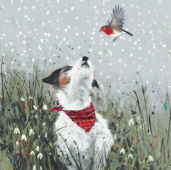 [AM-XCP-0108] Card Pack of 6-Feathered Friend