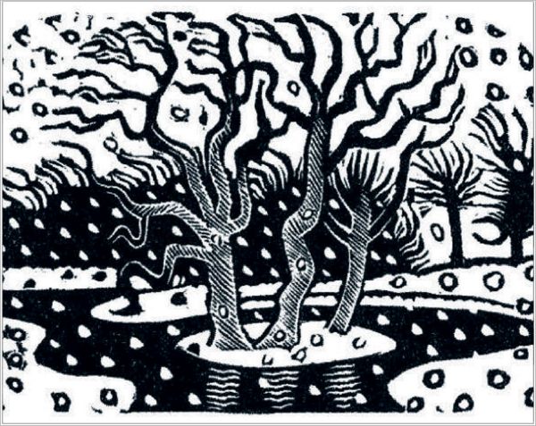 [CD-XCP-026-3] Card Pack of 6-Snow Scene