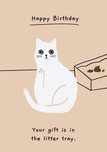 [OD-C-KTC8818] Card-Gift In The Litter Tray