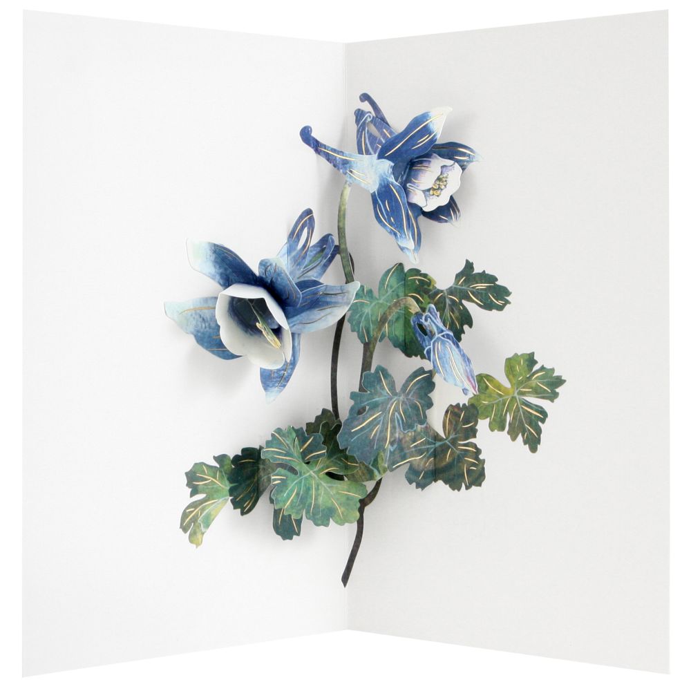 [UP-C-AA-103] 3D Pop-up Card-Columbine