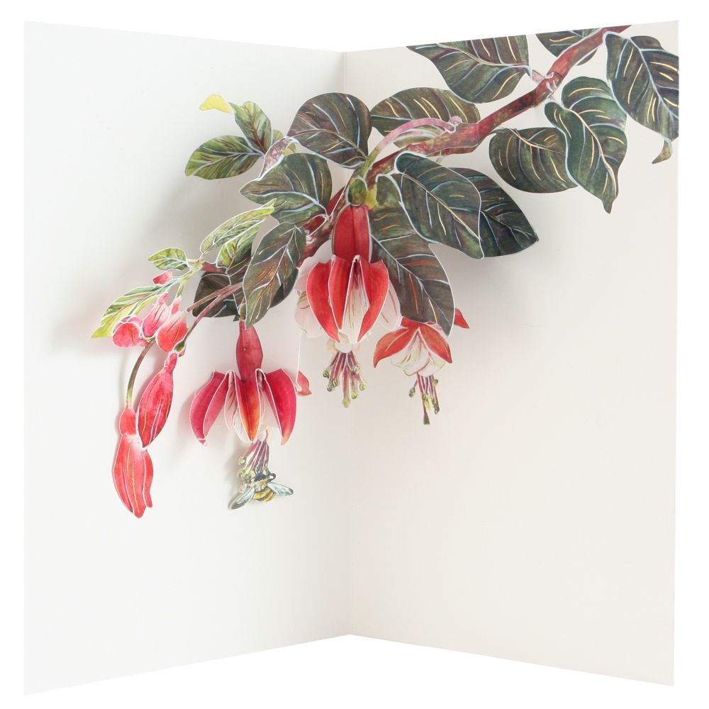 [UP-C-AA-104] 3D Pop-up Card-Fuchsia