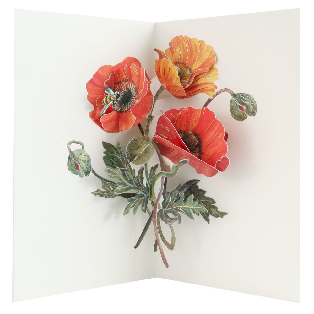 [UP-C-AA-105] 3D Pop-up Card-Poppies