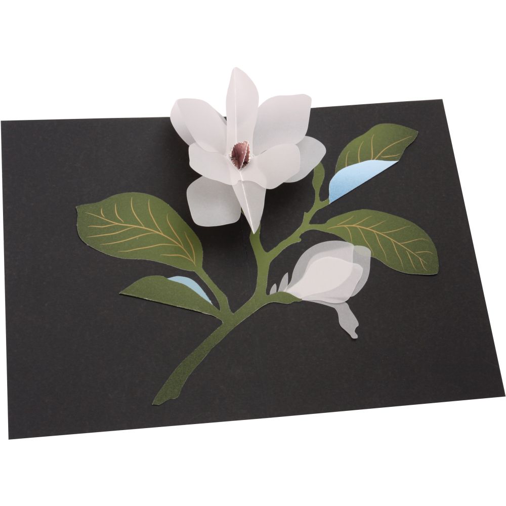 [UP-C-APA-092] 3D Pop-up Card-Magnolia