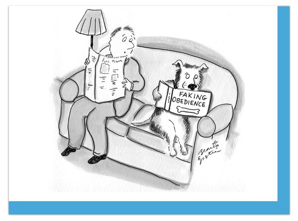 [NY-C-B085] Card-Faking Obedience