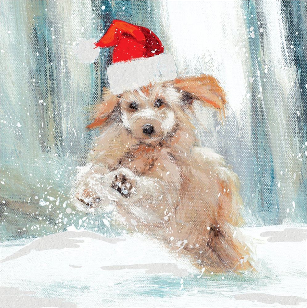 [AM-XCP-0140] Card Pack of 6-Santa Puppy