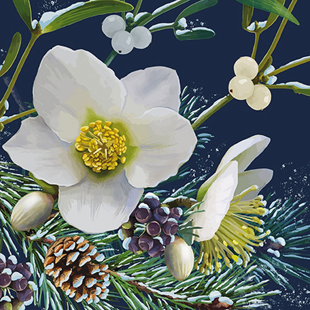 [AL-XC-XBOTII0002] Card-Christmas Rose