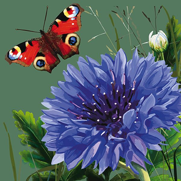 [AL-BOT110004] Card-Agapanthus