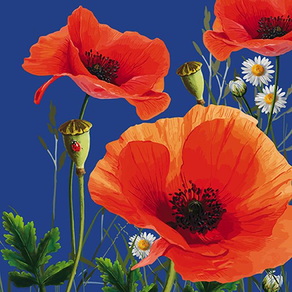 [AL-BOT110010] Card-Poppies