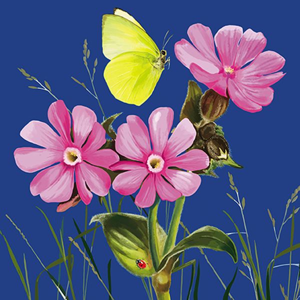 [AL-BOT110011] Card-Pink Flowers