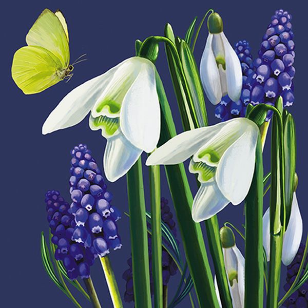 [AL-BOT110012] Card-Lillies