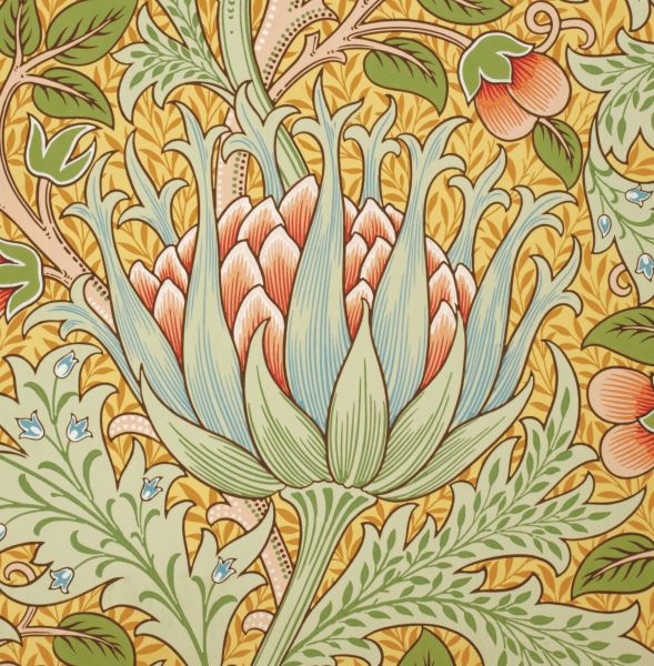 [MC-C-WM-VA026] Card-Artichoke