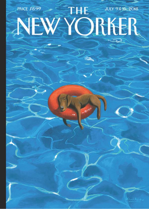 [NY-C-C158] Card-Downtime