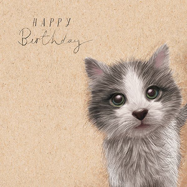 [AL-AN0005] Card-Kitten