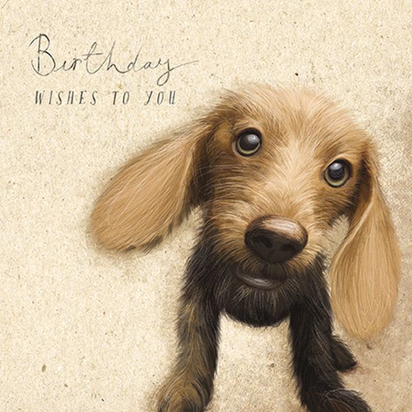 [AL-AN0009] Card-Sausage Dog