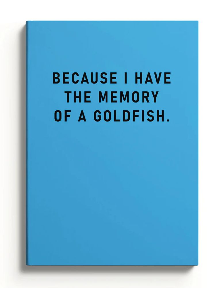 [OD-SN-OD-3-A5-59505] A5 Smooth Soft Cover Notebook-Memory Of A Goldfish