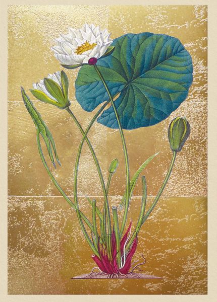 [OD-C-OD11995] Foil Card-Lily Pond