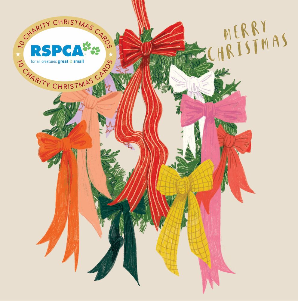 [VE-XCP25002] Christmas Card Wallet-RSPCA-Wreath Of Ribbons