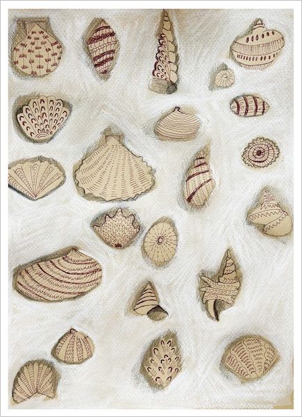 [DP-C149] Card-Shells