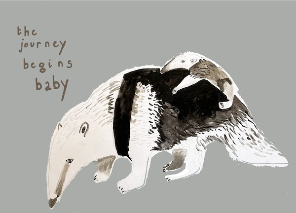 [DP-C153] Card-Journey Begins