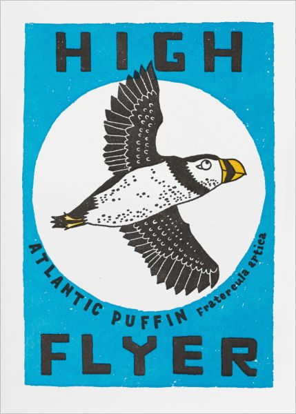 [AV-C-QP731] Card-High Flyer