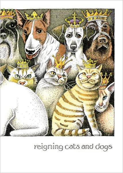 [SI-C-053] Card-Reigning Cats And Dogs