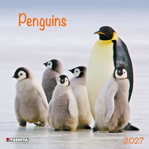 [E-TS-D27-CAL270317] Tushita 30x30 Cal-Penguins