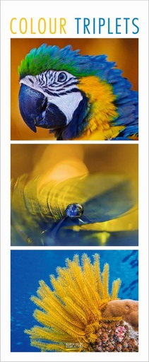 [D-KV-D27-206927] Korsch 29x69 Cal-Colour Triplets