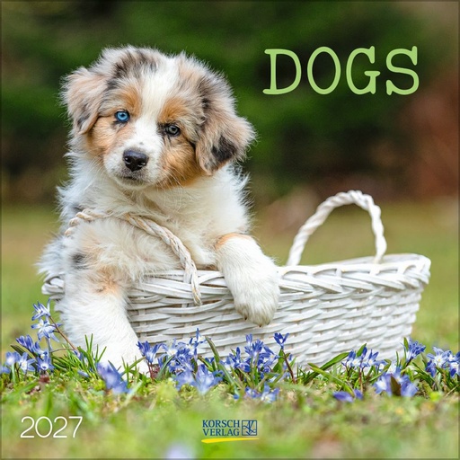 [E-KV-D27-224727] Korsch 30x30 Cal-Dogs