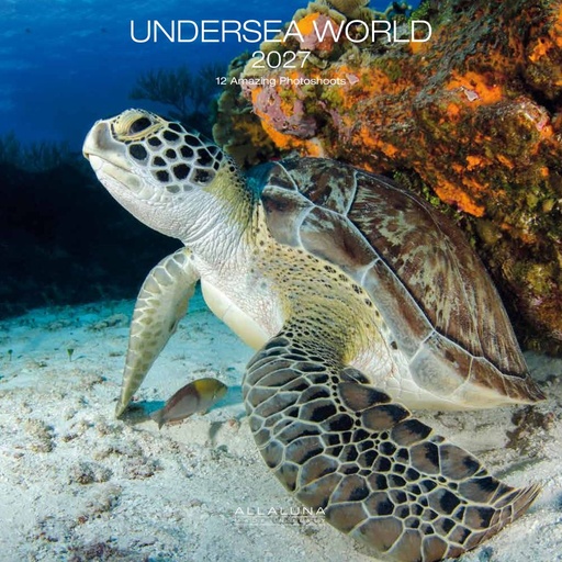 [E-AL-D27-CAL163] Allaluna 30x30 Cal-Undersea World