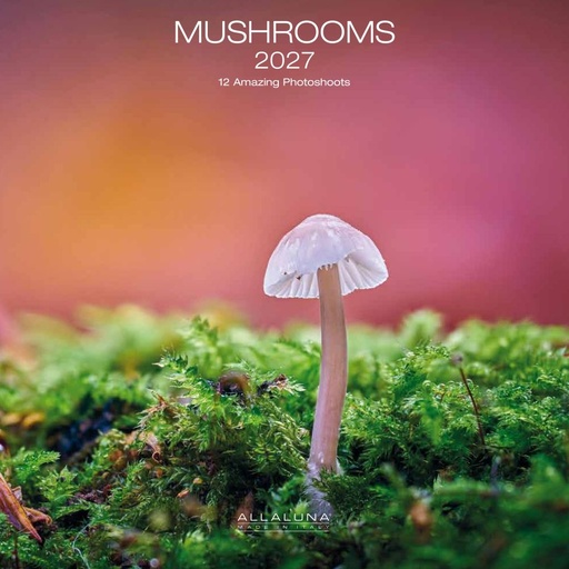 [E-AL-D27-CAL168] Allaluna 30x30 Cal-Mushrooms