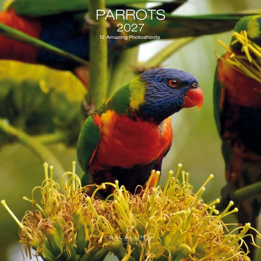 [E-AL-D27-CAL169] Allaluna 30x30 Cal-Parrots
