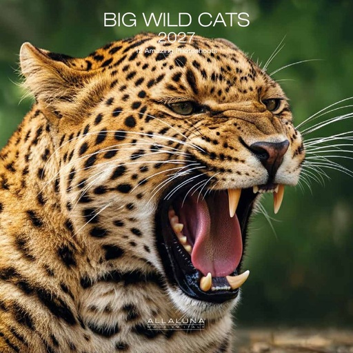 [E-AL-D27-CAL177] Allaluna 30x30 Cal-Big Wild Cats