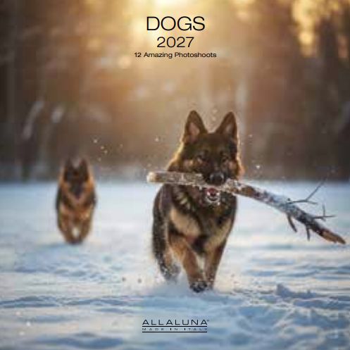 [F-AL-D27-CAL233] Allaluna 18x18 Cal-Dogs