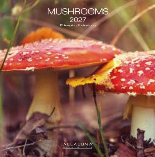 [F-AL-D27-CAL241] Allaluna 18x18 Cal-Mushrooms