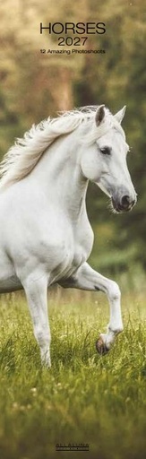 [D-AL-D27-CAL263] Allaluna 16x49 Cal-Horses