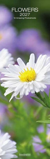 [D-AL-D27-CAL265] Allaluna 16x49 Cal-Flowers